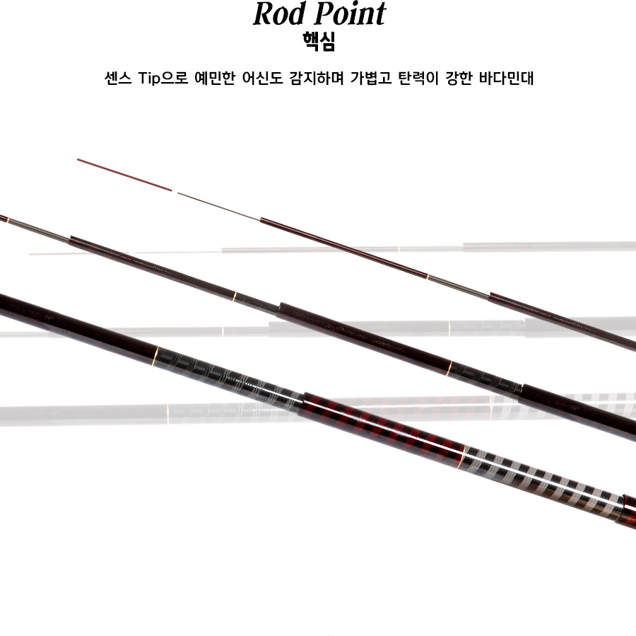 ���� �ٽ�